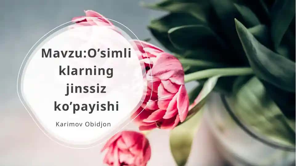 O'simliklarning jinssiz ko'payishi