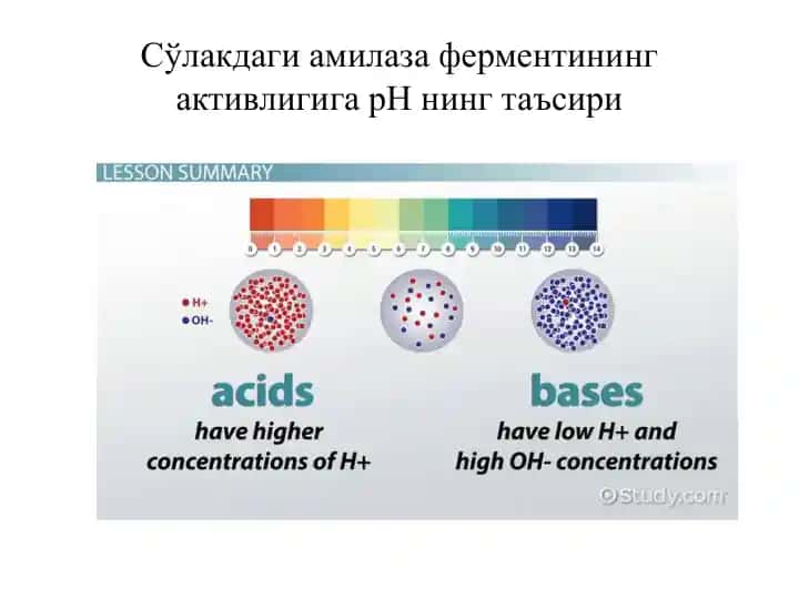 Сўлакдаги амилаза ферментининг активлигига рН нинг таъсири