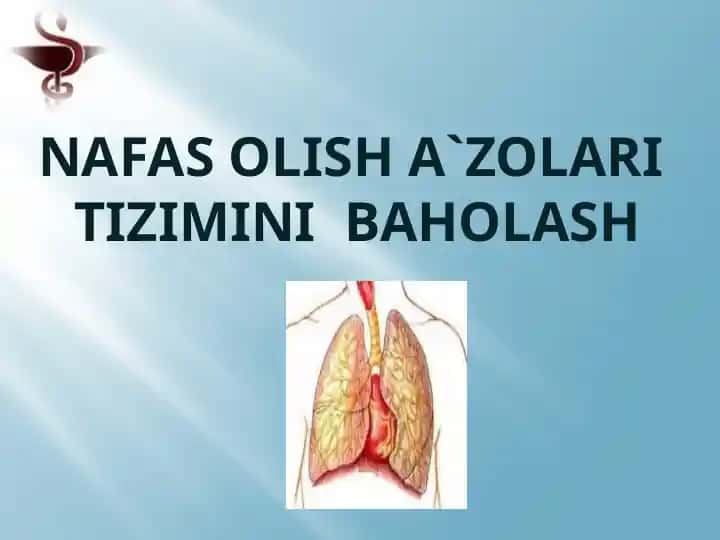 NAFAS OLISH A`ZOLARI tizimiNI baholash