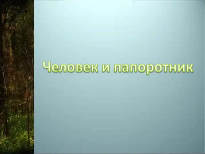 Папоротник и клады