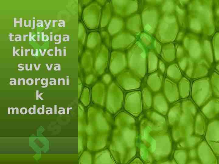 Hujayra tarkibiga kiruvchi suv va anorganik moddalar