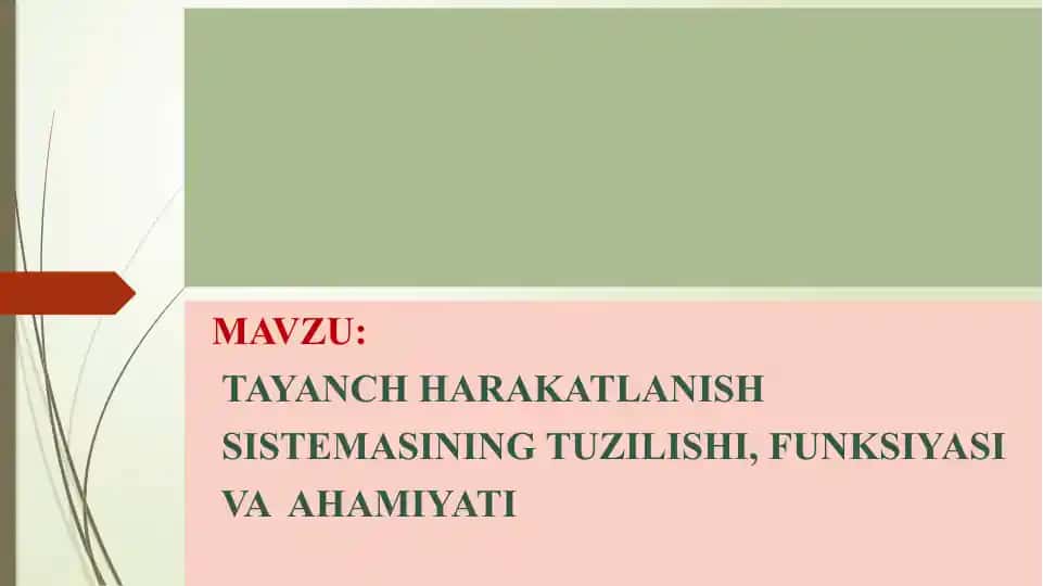 Tayanch harakatlanish sistemasi