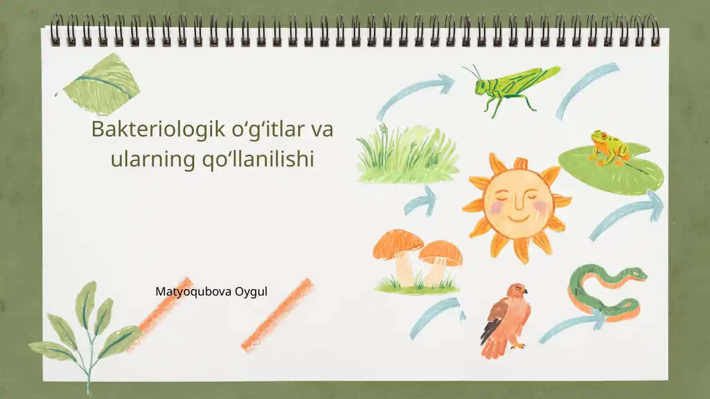 Bakteriologik oʻgʻitlar va ularning qoʻllanilishi