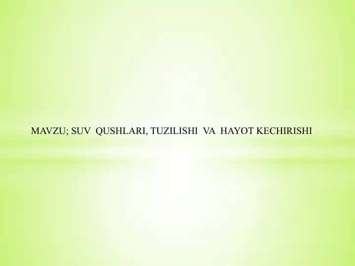 Suv qushlari