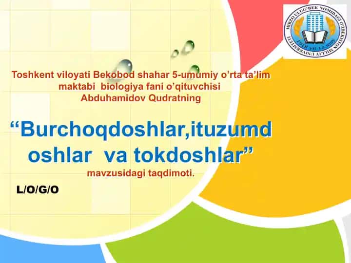 "Burchoqdoshlar, ituzumdoshlar va tokdoshlar"
