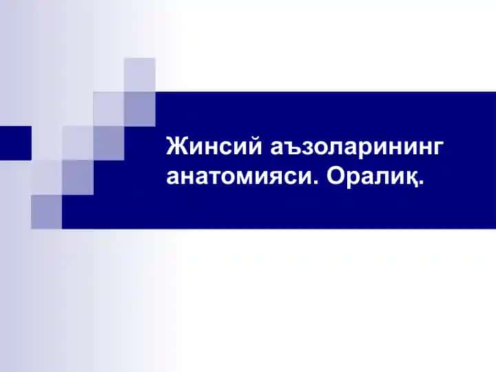 Жинсий аъзоларининг анатомияси. Оралиқ.