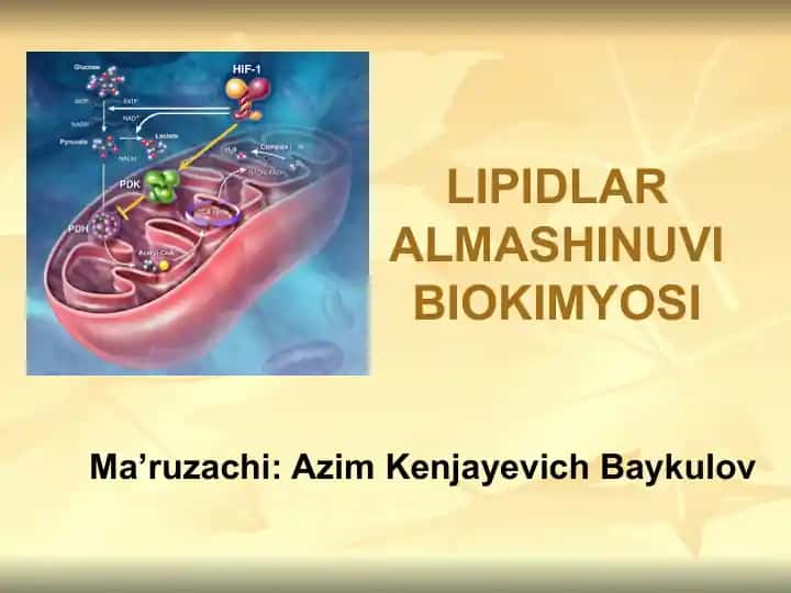 LIPIDLAR ALMASHINUVI BIOKIMYOSI