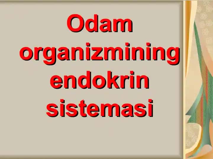 Odam organizmining endokrin sistemasi