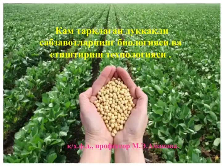 Кам тарқлаган дуккакли сабзавотларнинг биологияси ва етиштириш технологияси