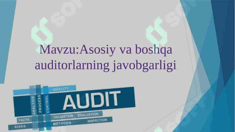 Asosiy va boshqa auditorlarning javobgarliligi