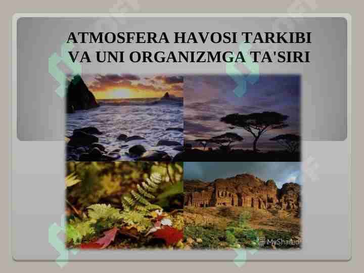 Atmosfera havosi tarkibi va uni organizmga ta'siri