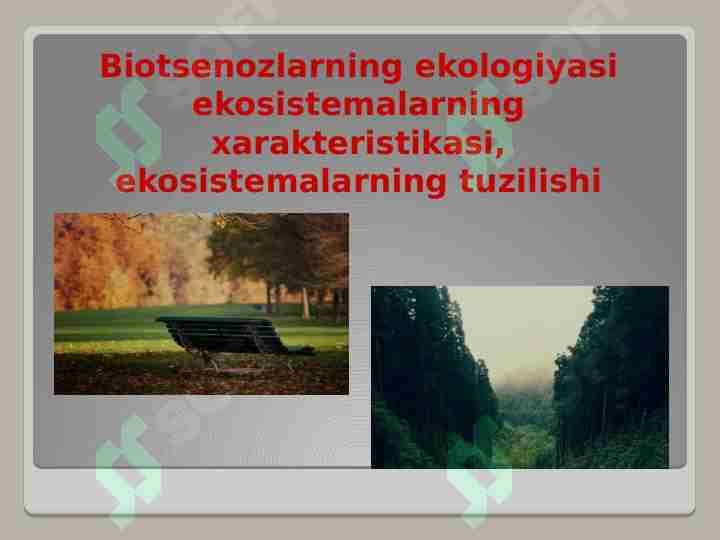 Biotsenozlarning ekologiyasi ekosistemalarning xarakteristikasi, ekosistemalarning tuzilishi