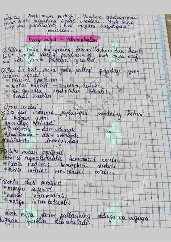 Amaliy mashgʻulot Anatomiya Handwritten