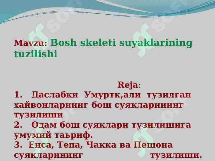 Bosh skeleti suyaklarining tuzilishi