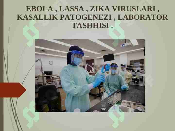 EBOLA , LASSA , ZIKA VIRUSLARI , KASALLIK PATOGENEZI , LABORATOR TASHHISI .
