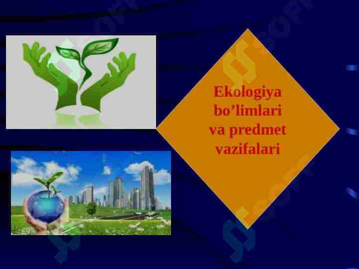 Ekologiya bo’limlari va predmet vazifalari