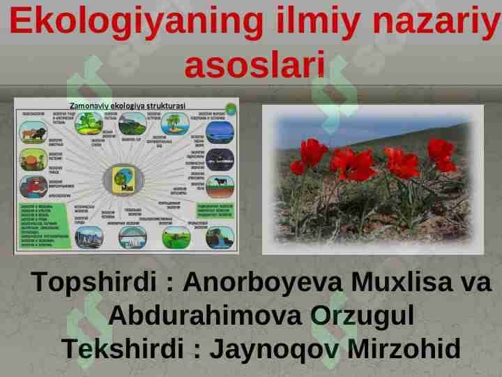 Ekologiyaning ilmiy nazariy asoslari