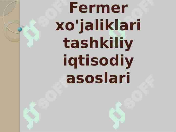 Fermer xo'jaliklari tashkiliy iqtisodiy asoslari