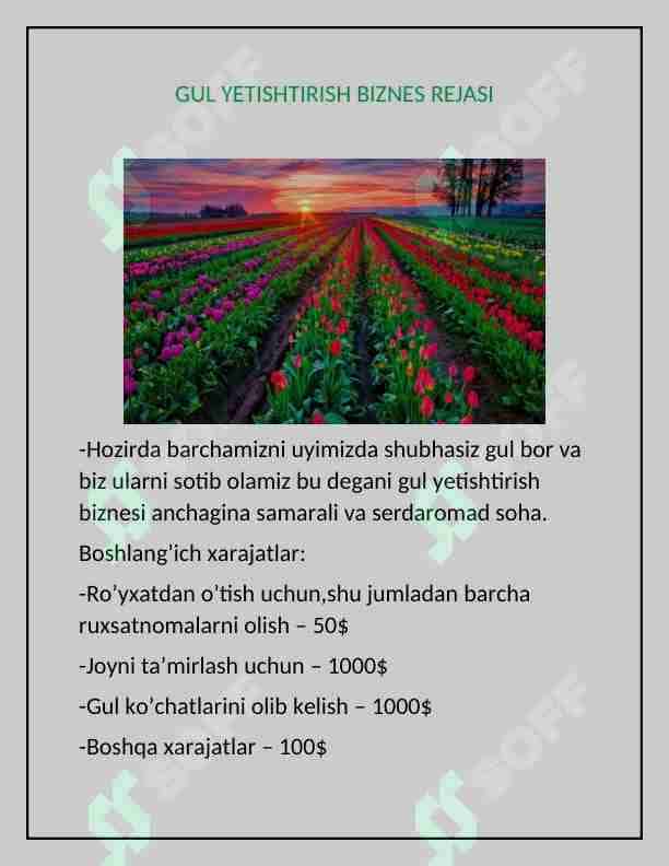GUL YETISHTIRISH BIZNES REJASI