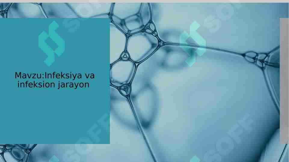 Infeksiya va infeksion jarayon