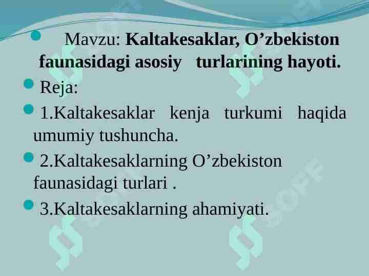 Kaltakesaklar, O’zbekiston faunasidagi asosiy turlarining hayoti.