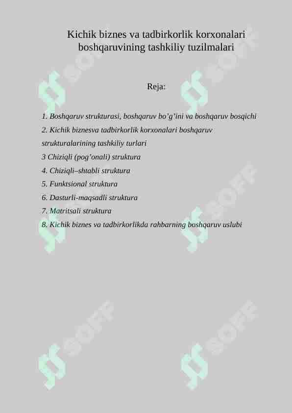 Kichik biznes va tadbirkorlik korxonalari boshqaruvining tashkiliy tuzilmalari