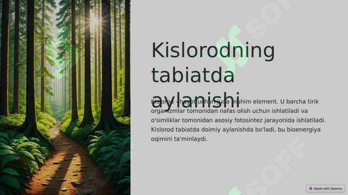 Kislorodning tabiatda aylanishi
