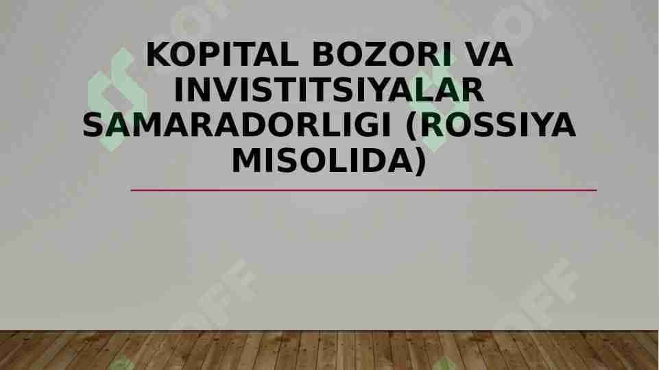 Kopital bozori va investitsiyalar samaradorligi (rossiya misolida)