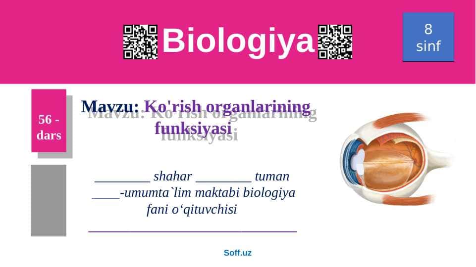 Ko'rish organlarining funksiyasi