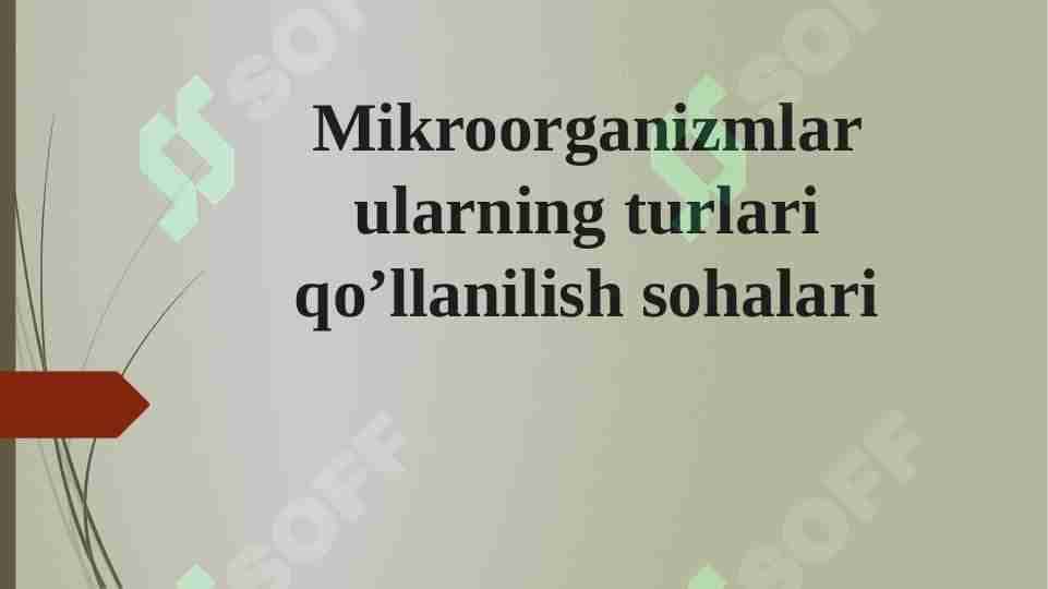 Mikroorganizmlar ularning turlari qo'llanilish sohalari