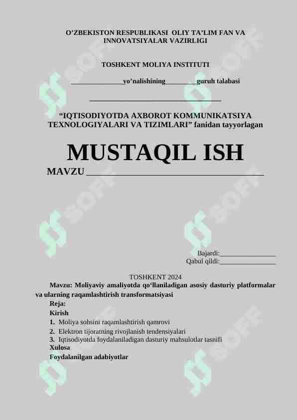 Moliyaviy amaliyotda qo‘llaniladigan asosiy dasturiy platformalar