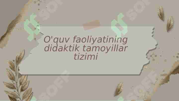 O'quv faoliyatining didaktik tamoyillar tizimi