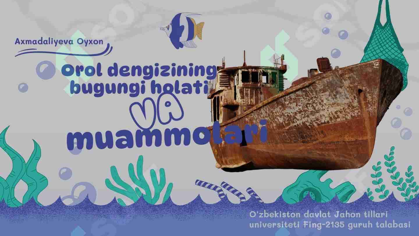 orol dengizining bugungi holati va muammolari