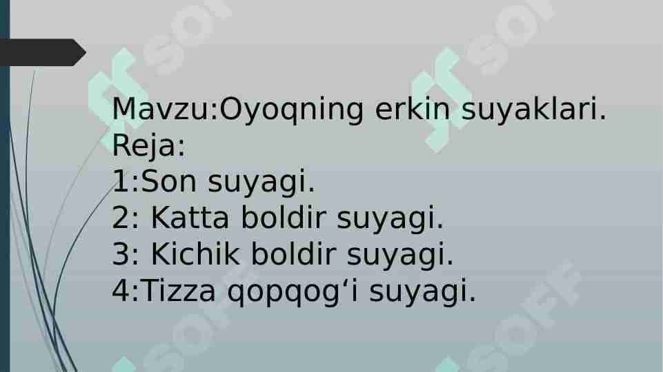 Oyoqning erkin suyaklari