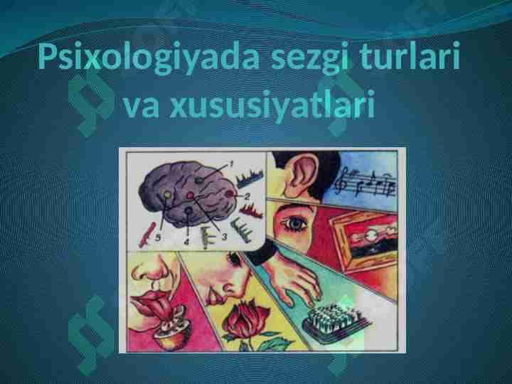 Psixologiyada sezgi turlari va xususiyatlari