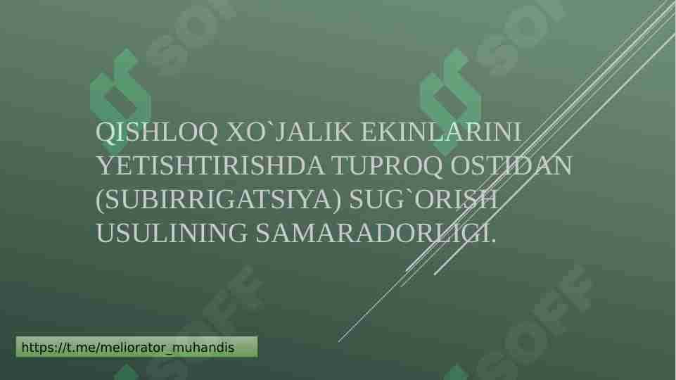 Qishloq xo`jalik ekinlarini yetishtirishda tuproq ostidan (subirrigatsiya) sug`orish usulining samaradorligi.