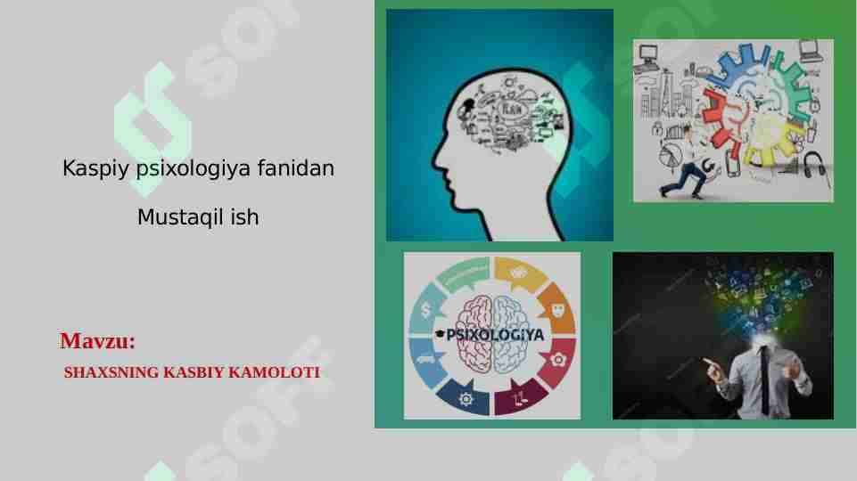 SHAXSNING KASBIY KAMOLOTI