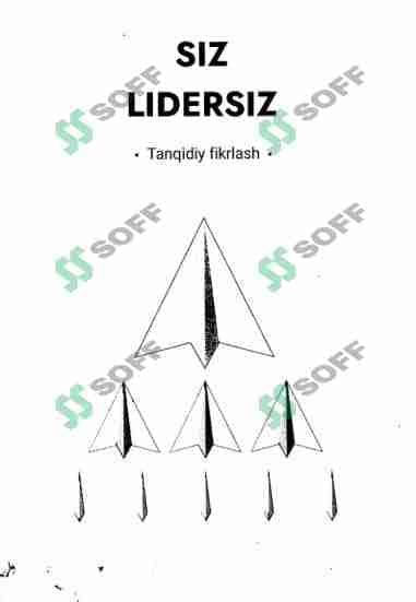 Siz lidersiz