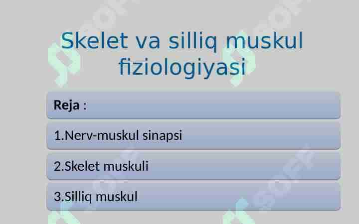 Skelet va silliq muskul fiziologiyasi