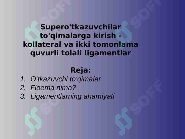 Supero'tkazuvchilar to'qimalarga kirish - kollateral va ikki tomonlama quvurli tolali ligamentlar