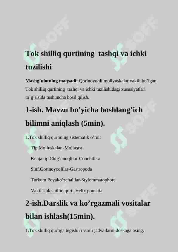 Tok shilliq qurtining tashqi va ichki tuzilishi