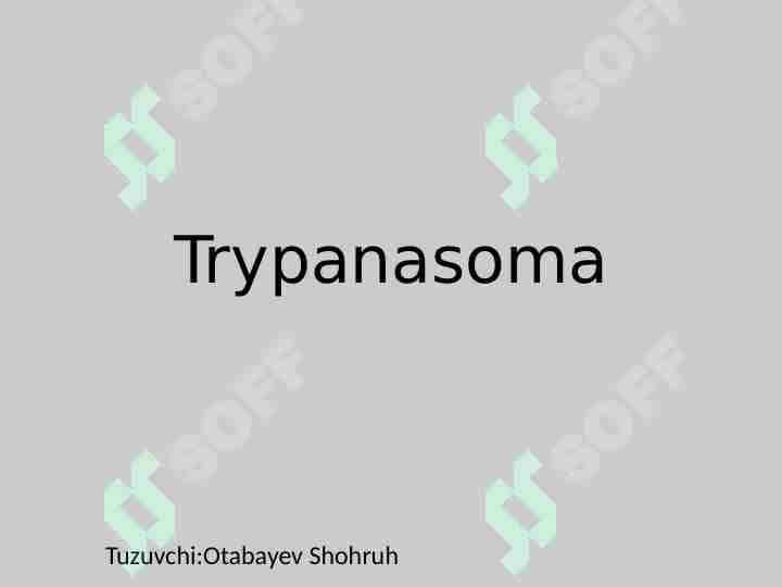 Trypanasoma taqdimot