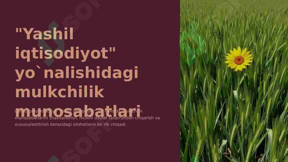 “Yashil iqtisodiyot” yo`nalisida mulkchilik munosabatlarini shakllantirish, mulkni davlat tasarrufidan chiqarish va xususiylashtirish borasidagi islohotlar