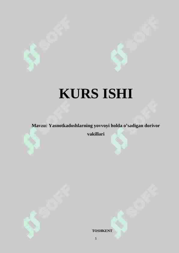 Yasnotkadoshlarning o’stiriladigan dorivor vakillari
