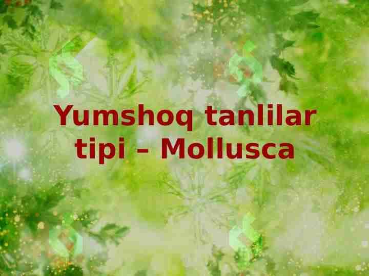 Yumshoq tanlilar tipi – Mollusca