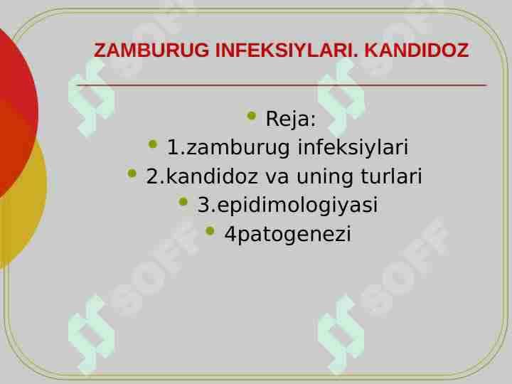 ZAMBURUG INFEKSIYLARI. KANDIDOZ