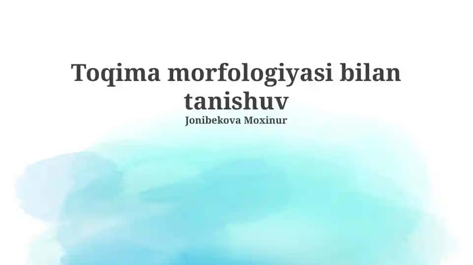 Toqima morfologiyasi bilan tanishuv