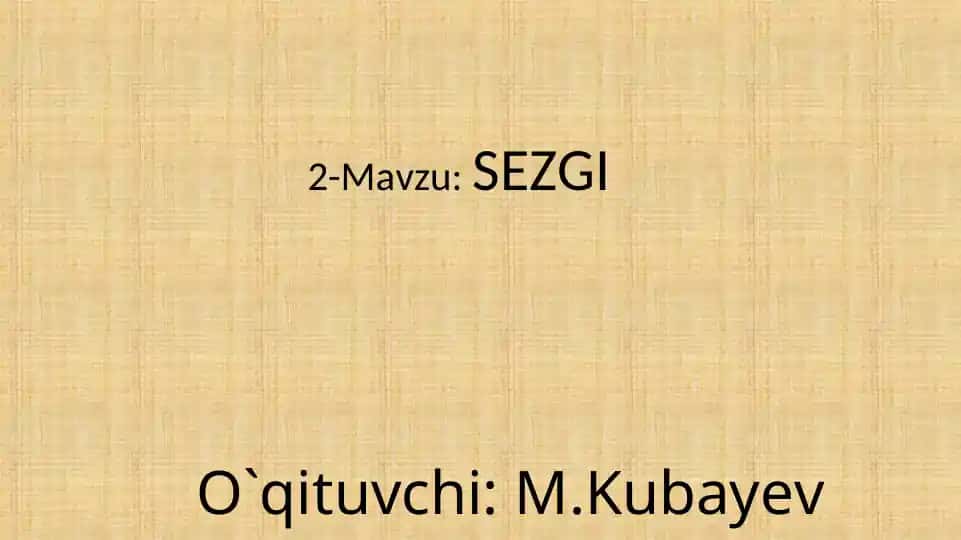 SEZGI