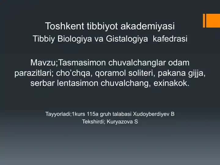 Tasmasimon chuvalchanglar