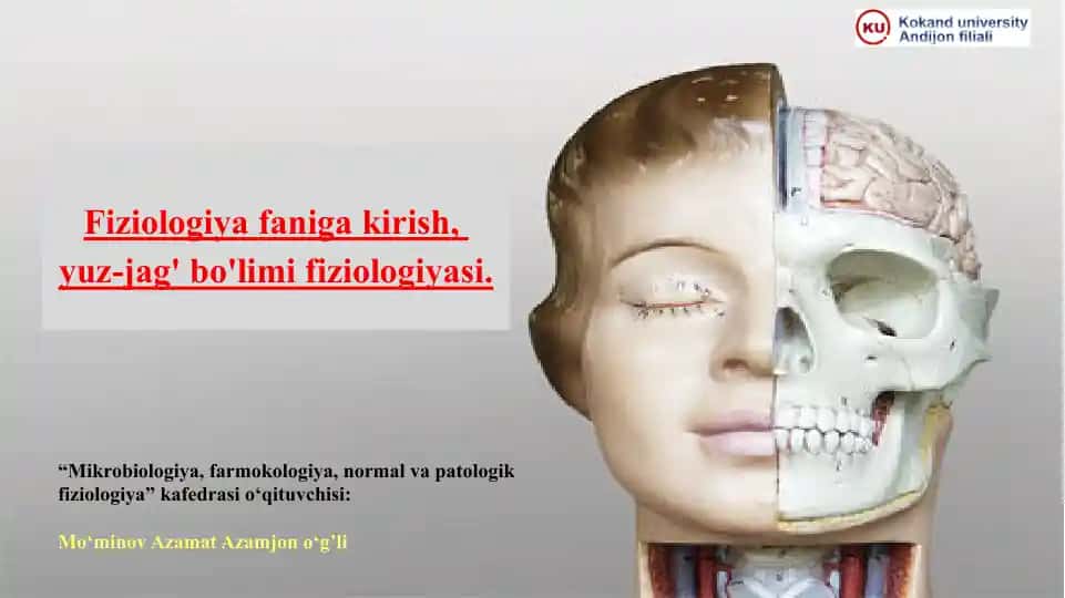 Tishlar haqida faktlar